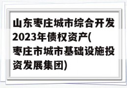 山东枣庄城市综合开发2023年债权资产(枣庄市城市基础设施投资发展集团)