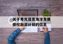 关于寿光晟景海洋发展债权融资计划的信息