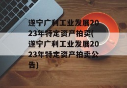 遂宁广利工业发展2023年特定资产拍卖(遂宁广利工业发展2023年特定资产拍卖公告)