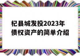 杞县城发投2023年债权资产的简单介绍