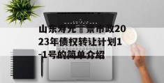 山东寿光昇景市政2023年债权转让计划1-1号的简单介绍