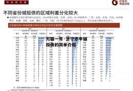 万疆一号·济宁市中城投债的简单介绍