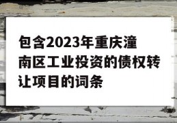 包含2023年重庆潼南区工业投资的债权转让项目的词条