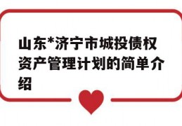 山东*济宁市城投债权资产管理计划的简单介绍