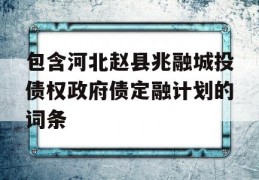 包含河北赵县兆融城投债权政府债定融计划的词条