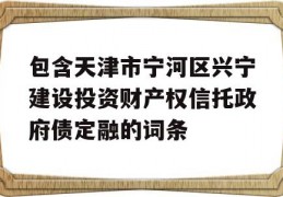 包含天津市宁河区兴宁建设投资财产权信托政府债定融的词条