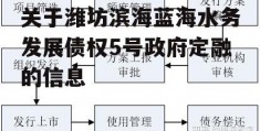 关于潍坊滨海蓝海水务发展债权5号政府定融的信息