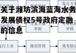 关于潍坊滨海蓝海水务发展债权5号政府定融的信息