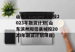 山东滨州阳信县城投2023年融资计划(山东滨州阳信县城投2023年融资计划项目)