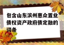 包含山东滨州惠众置业债权资产政府债定融的词条