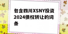 包含四川XSNY投资2024债权转让的词条