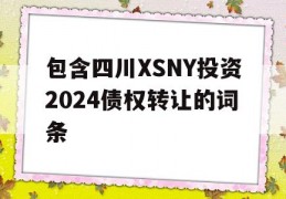 包含四川XSNY投资2024债权转让的词条