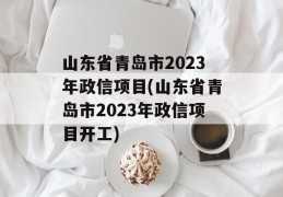 山东省青岛市2023年政信项目(山东省青岛市2023年政信项目开工)