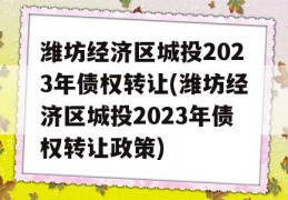 潍坊经济区城投2023年债权转让(潍坊经济区城投2023年债权转让政策)