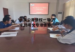 水发公用债权一号(厅字33号文专项债券)