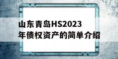 山东青岛HS2023年债权资产的简单介绍