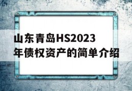 山东青岛HS2023年债权资产的简单介绍