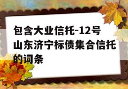 包含大业信托-12号山东济宁标债集合信托的词条