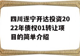 四川遂宁开达投资2022年债权01转让项目的简单介绍