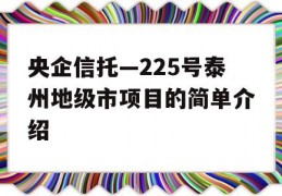 央企信托—225号泰州地级市项目的简单介绍