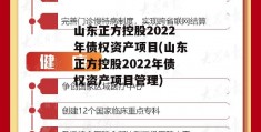 山东正方控股2022年债权资产项目(山东正方控股2022年债权资产项目管理)