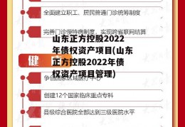 山东正方控股2022年债权资产项目(山东正方控股2022年债权资产项目管理)