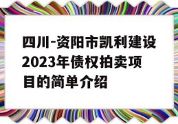 四川-资阳市凯利建设2023年债权拍卖项目的简单介绍