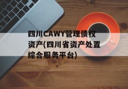 四川CAWY管理债权资产(四川省资产处置综合服务平台)