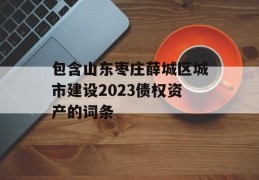 包含山东枣庄薛城区城市建设2023债权资产的词条