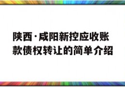 陕西·咸阳新控应收账款债权转让的简单介绍