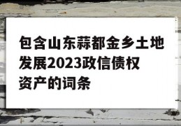 包含山东蒜都金乡土地发展2023政信债权资产的词条