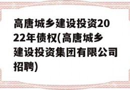 高唐城乡建设投资2022年债权(高唐城乡建设投资集团有限公司招聘)