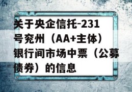 关于央企信托-231号兖州（AA+主体）银行间市场中票（公募债券）的信息