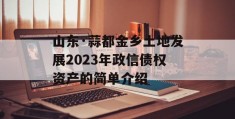 山东·蒜都金乡土地发展2023年政信债权资产的简单介绍