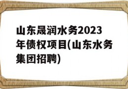 山东晟润水务2023年债权项目(山东水务集团招聘)