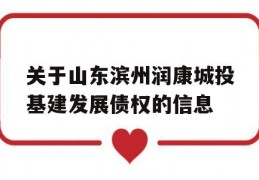 关于山东滨州润康城投基建发展债权的信息