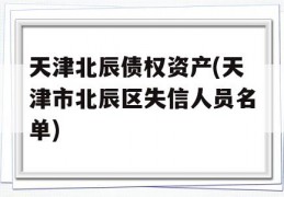 天津北辰债权资产(天津市北辰区失信人员名单)