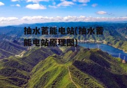 抽水蓄能电站(抽水蓄能电站原理图)