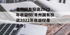 青州国有投资2022年收益权(青州国有投资2022年收益权是多少)