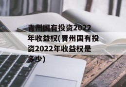 青州国有投资2022年收益权(青州国有投资2022年收益权是多少)