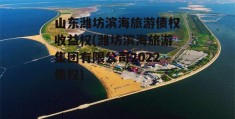 山东潍坊滨海旅游债权收益权(潍坊滨海旅游集团有限公司2022债权)