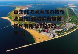 山东潍坊滨海旅游债权收益权(潍坊滨海旅游集团有限公司2022债权)