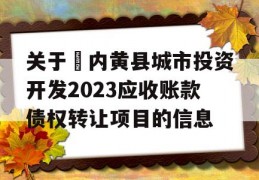 关于​内黄县城市投资开发2023应收账款债权转让项目的信息