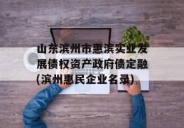 山东滨州市惠滨实业发展债权资产政府债定融(滨州惠民企业名录)