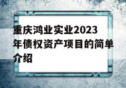 重庆鸿业实业2023年债权资产项目的简单介绍