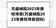 万盛城投2023年债权项目(万盛城投2023年债权项目招标)