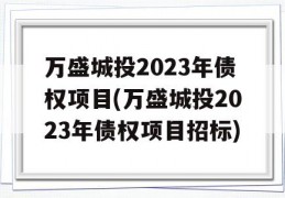 万盛城投2023年债权项目(万盛城投2023年债权项目招标)