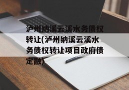 泸州纳溪云溪水务债权转让(泸州纳溪云溪水务债权转让项目政府债定融)