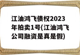 江油鸿飞债权2023年拍卖1号(江油鸿飞公司融资是真是假)