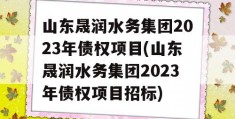 山东晟润水务集团2023年债权项目(山东晟润水务集团2023年债权项目招标)
